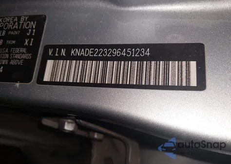 2009 Kia Rio Lx from USA, damaged, VIN KNADE223296451234